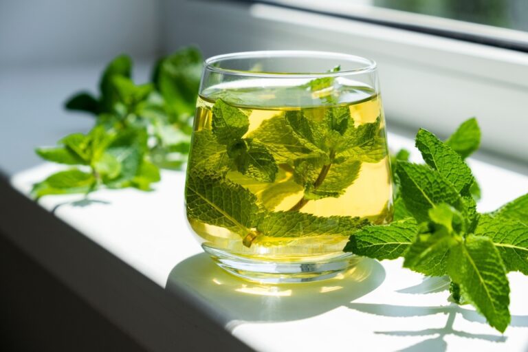 ways to have mint in pregnancy



