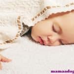 Best 7 Ideas for Baby Crib Alternatives – A Guide