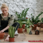 Best Fun Hobbies for Stay-at-Home Moms - Quick Facts