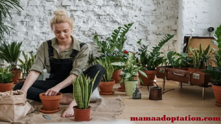 Best Fun Hobbies for Stay-at-Home Moms - Quick Facts