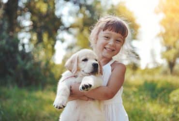 Play with the Dog