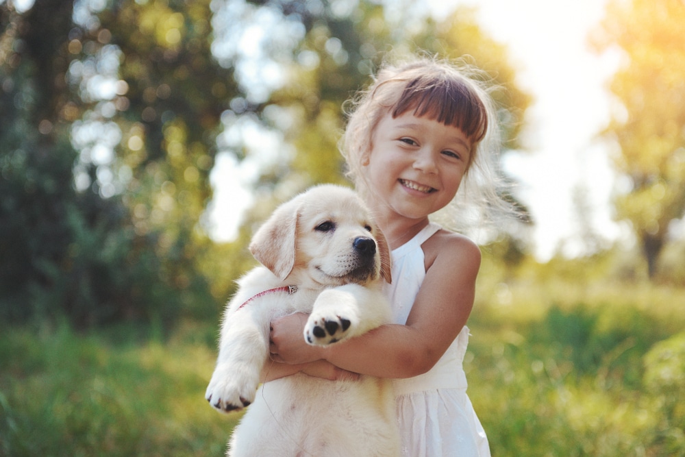 Play with the Dog