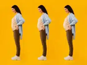stages of pregnancy