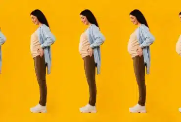 stages of pregnancy