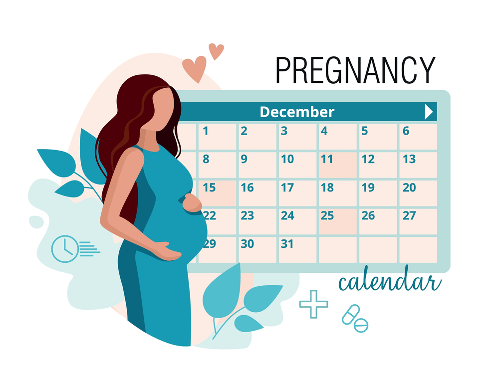 Due Date Calculator 1 image2